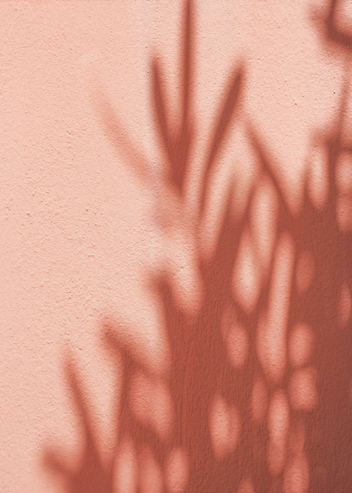 Schatten | Leinwand