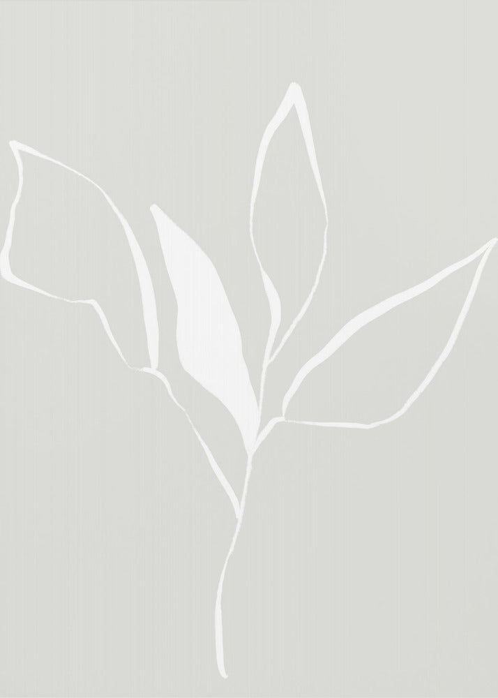 Whispers of Nature With Soft Flower | Canvas