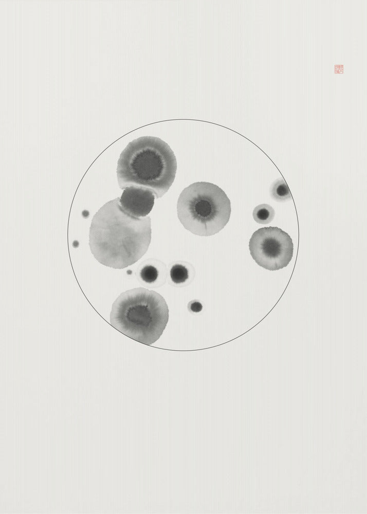 Petrischale | Poster