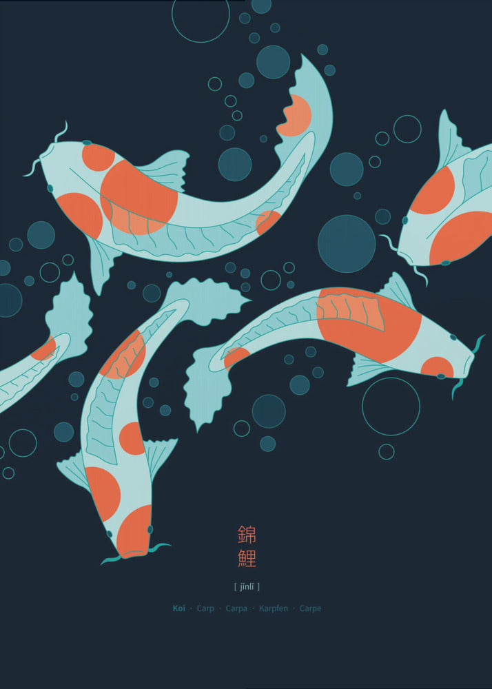 Koi Carps | Poster