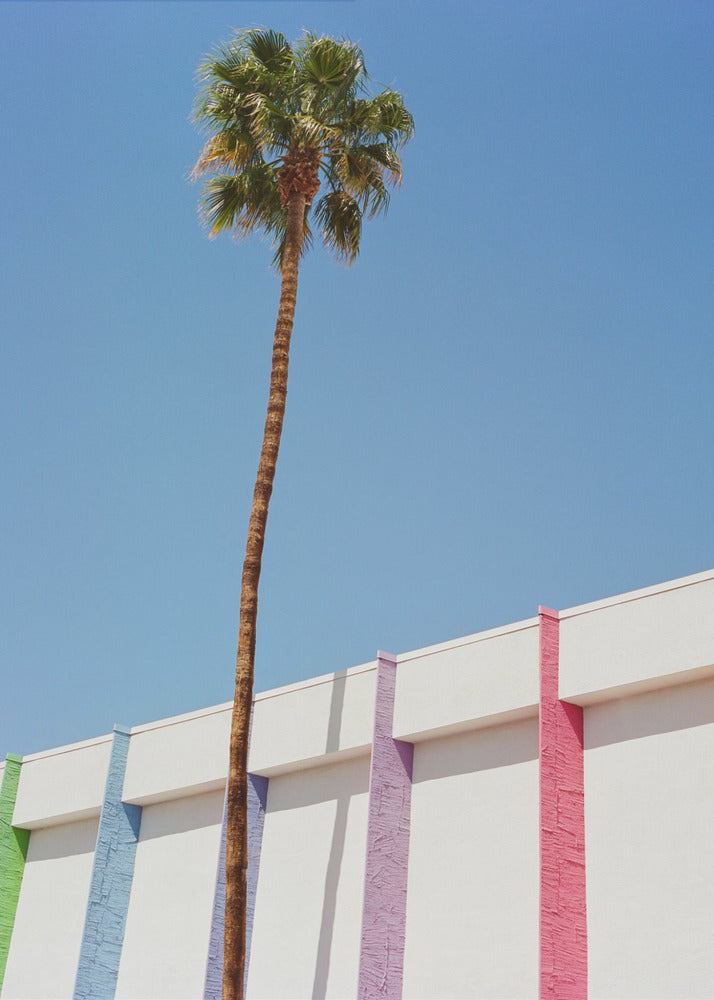 Palm Springs II | Poster