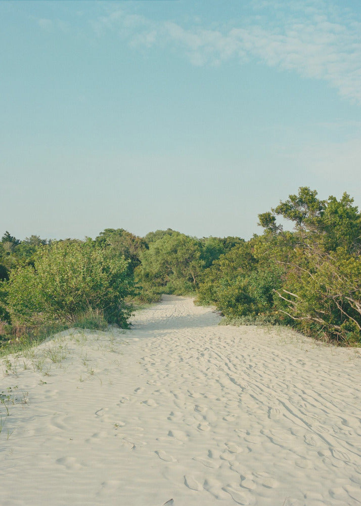 Sullivan's Island | Poster