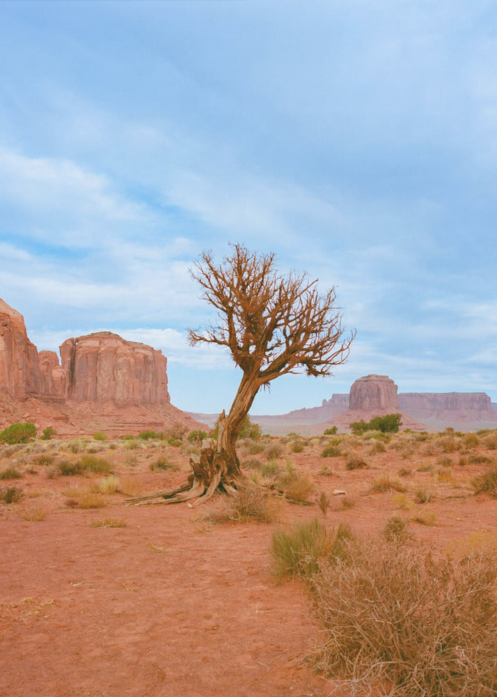 Monument Valley XI | Leinwand