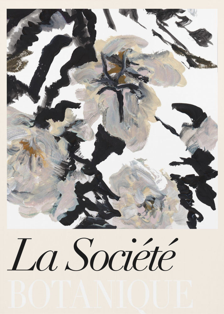 La Société Botanique Balck and White and Cream Flowers 2 | Poster