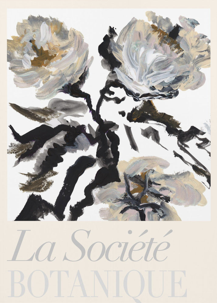La Société Botanique Schwarze, weiße und cremefarbene Blumen | Leinwand