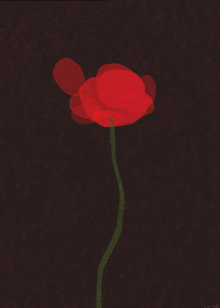 Mohn | Leinwand