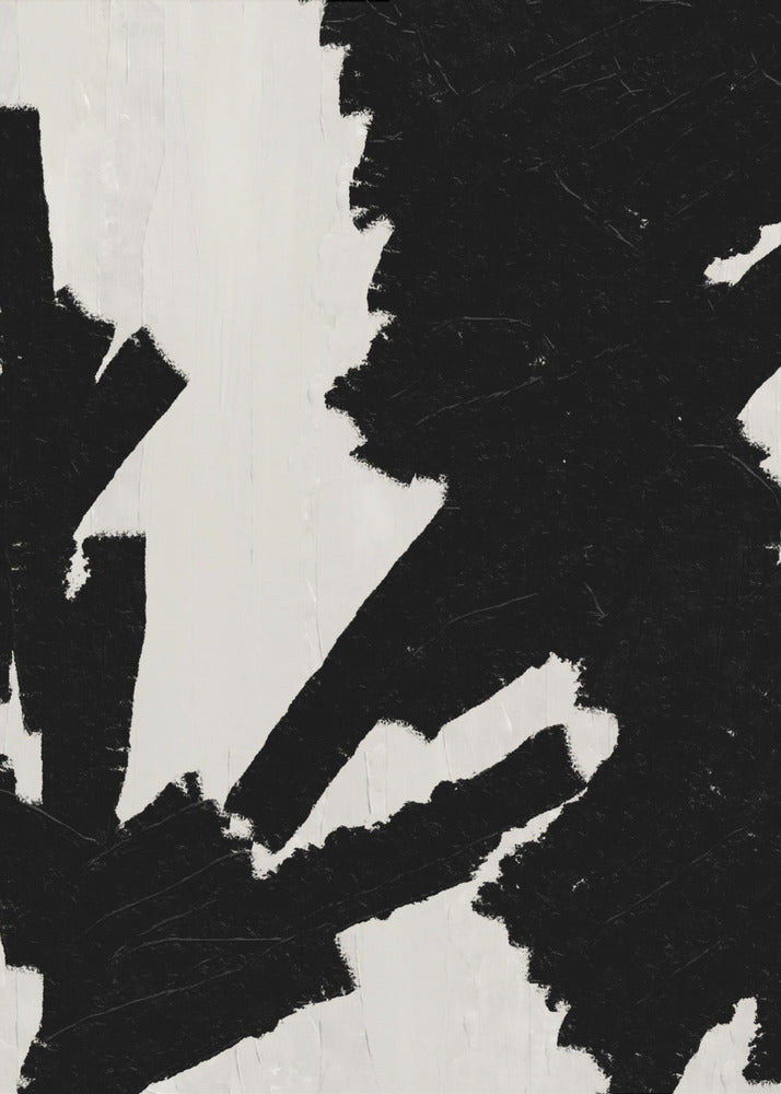 Bold Contrast Canvas | Canvas