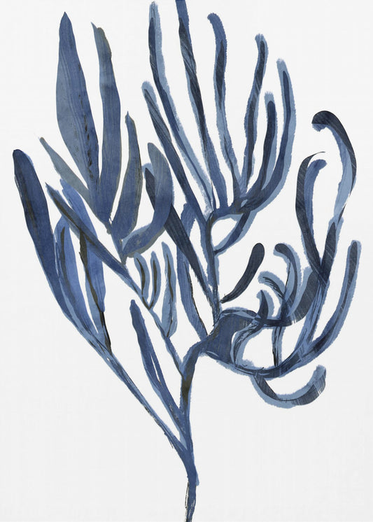 Blue Aquatic Plant Poster 3 | Canvas