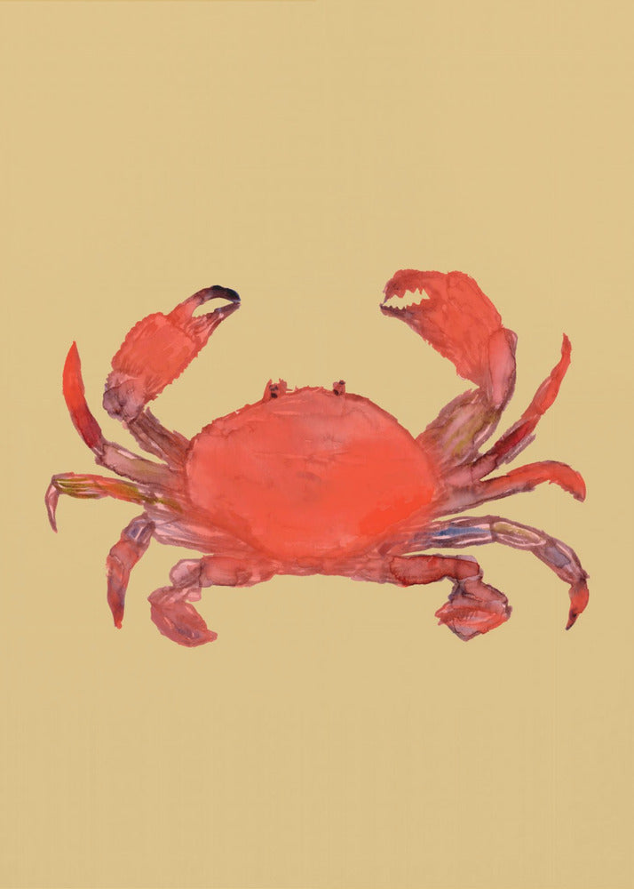 Krabbenposter | Poster