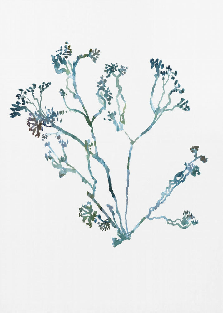 Zarte blaue Blumen 2 | Poster