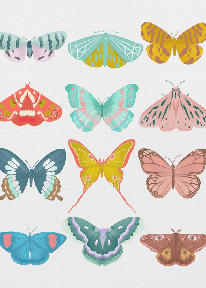 Schmetterling | Leinwand