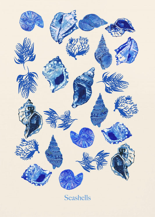 Muscheln Poster | Leinwand