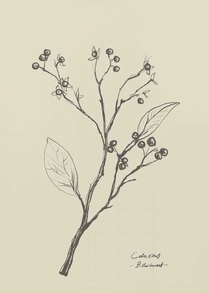Blumen 2 | Leinwand
