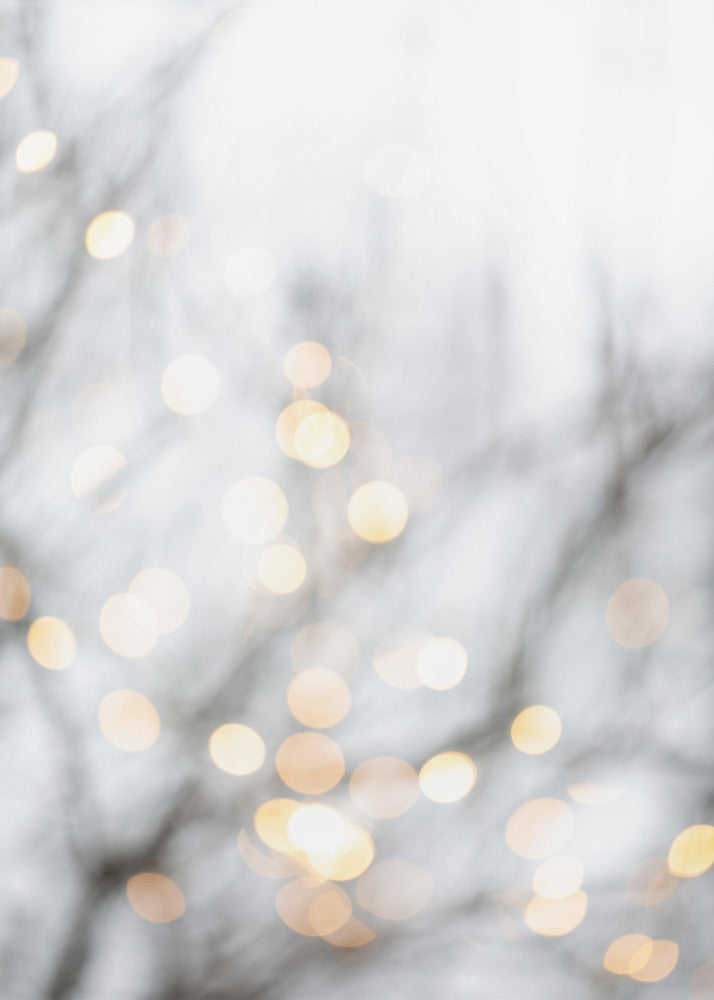 Winterlichter 2 | Poster