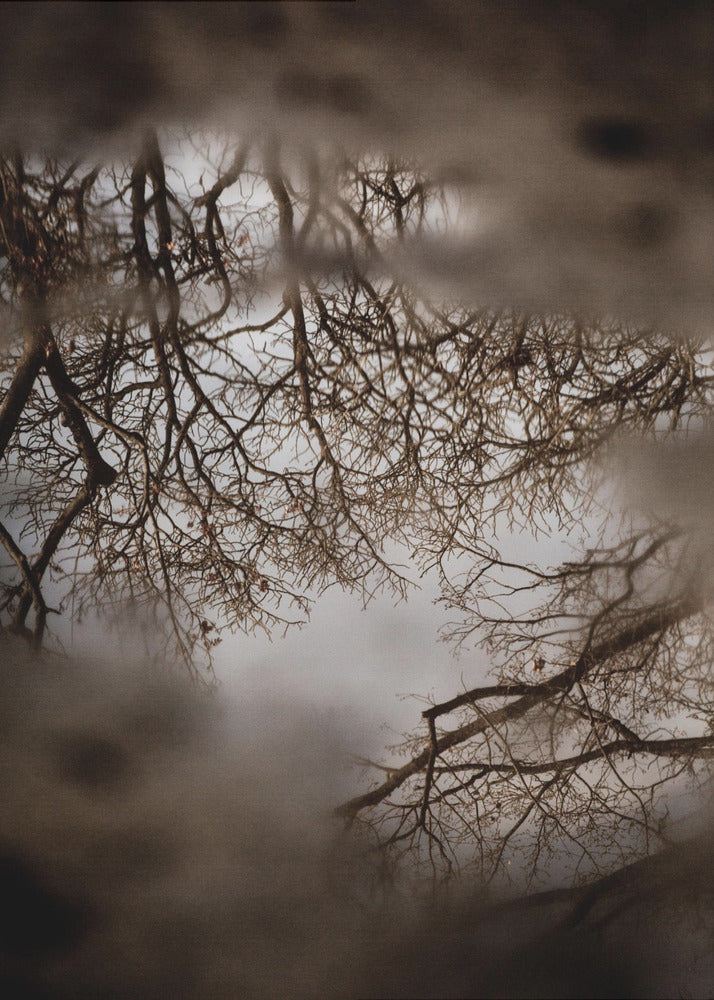 Winterreflexionen | Leinwand