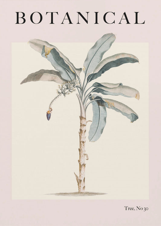 Botanicalno30 Ratioiso | Leinwand