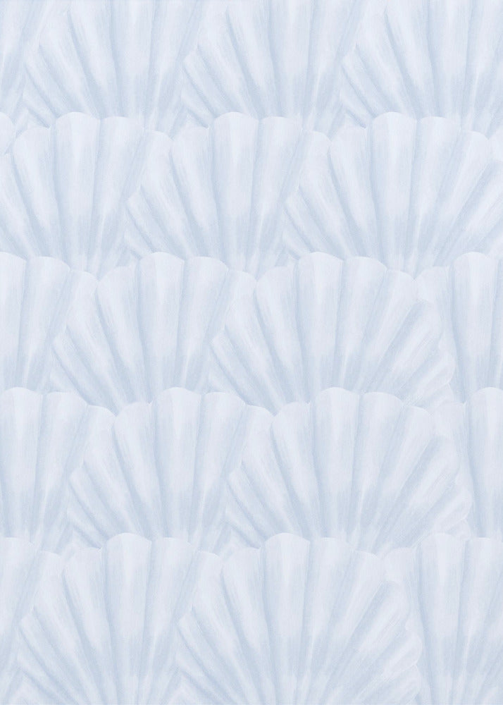 Seashells | Canvas