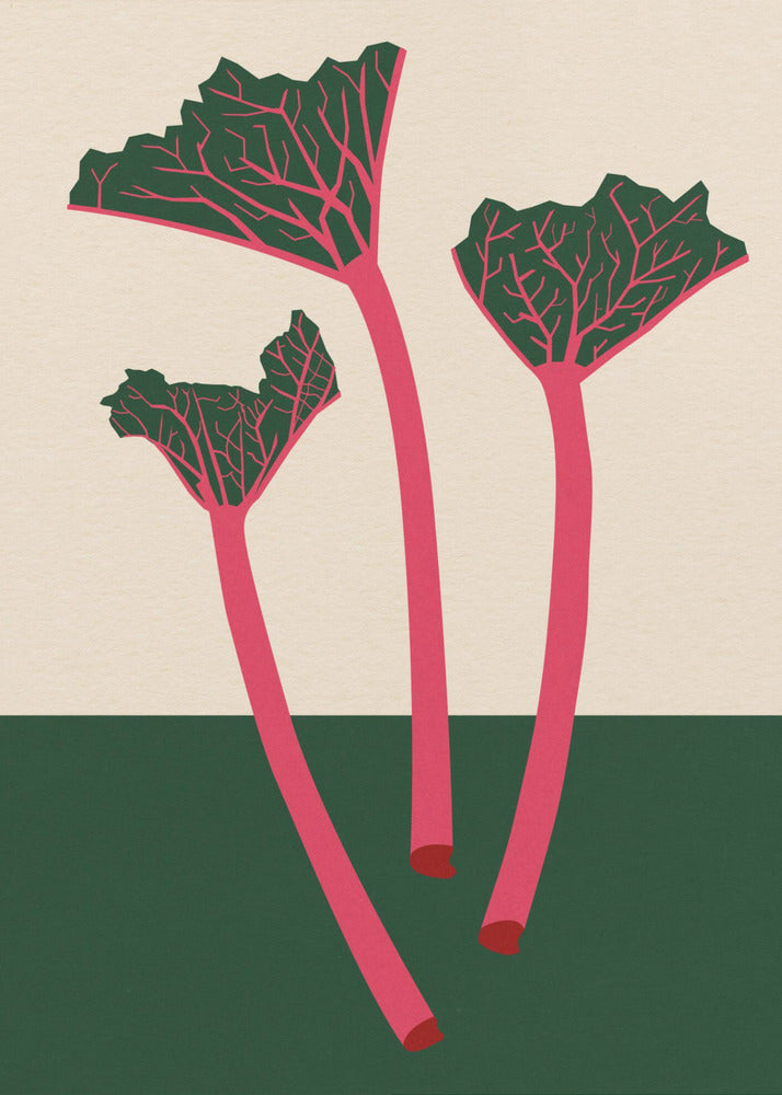 Schwedischer Garten-Rhabarber | Poster