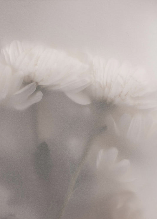 Verschwommene Blumen 2 | Poster