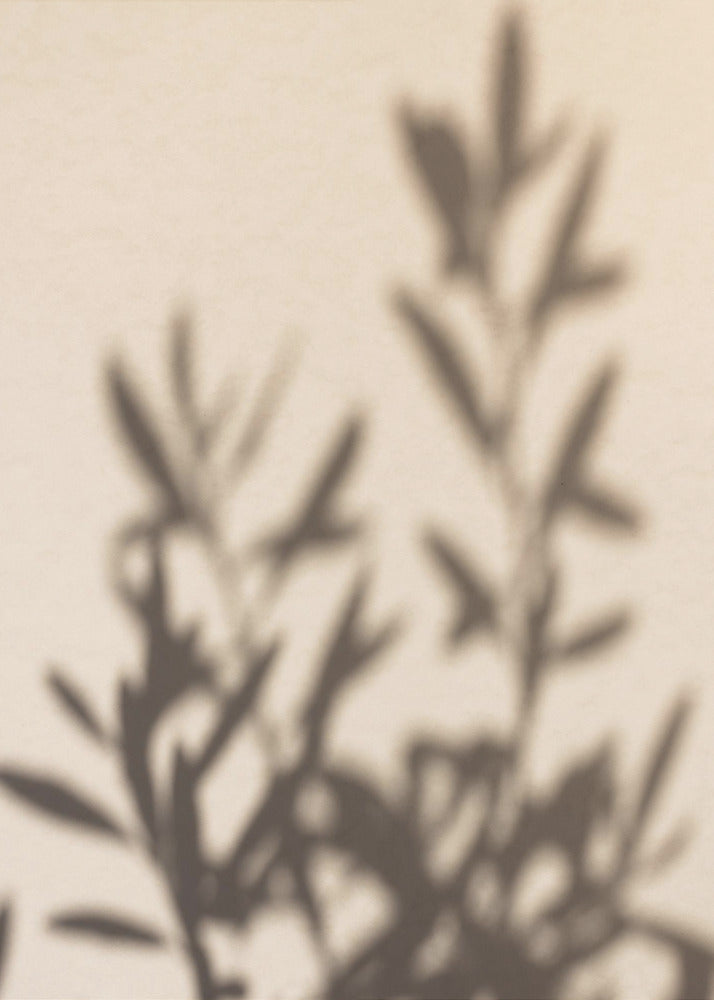 Sommerschatten 6 | Poster
