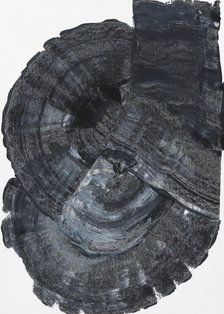 Schwarzes Fossil 1 | Leinwand