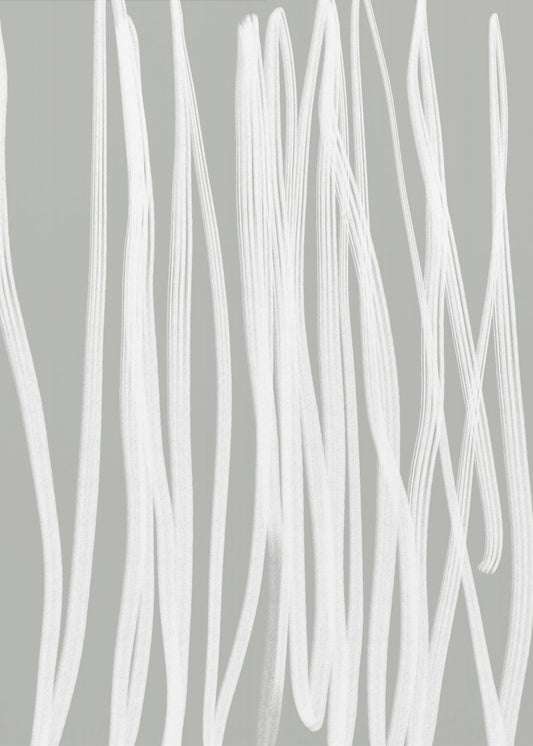 Weiße lineare Striche | Poster