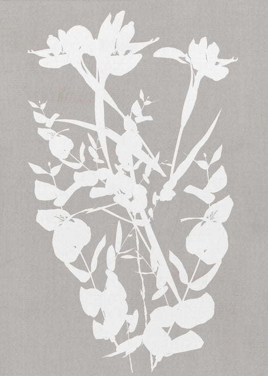 Botanische Illustration 1 | Poster