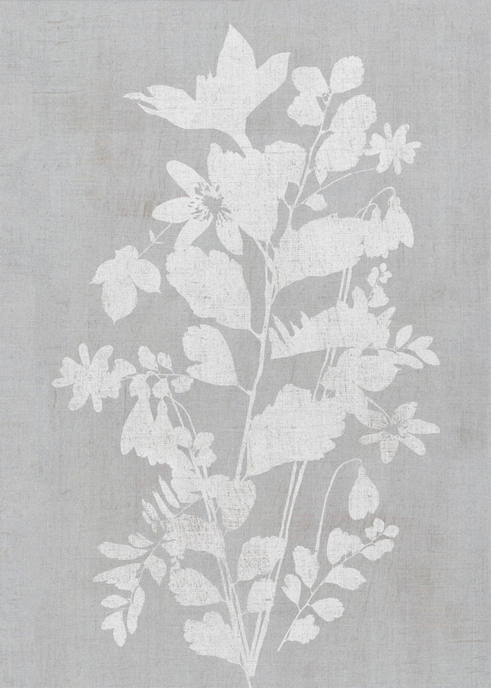 Botanische Illustration 2 | Poster