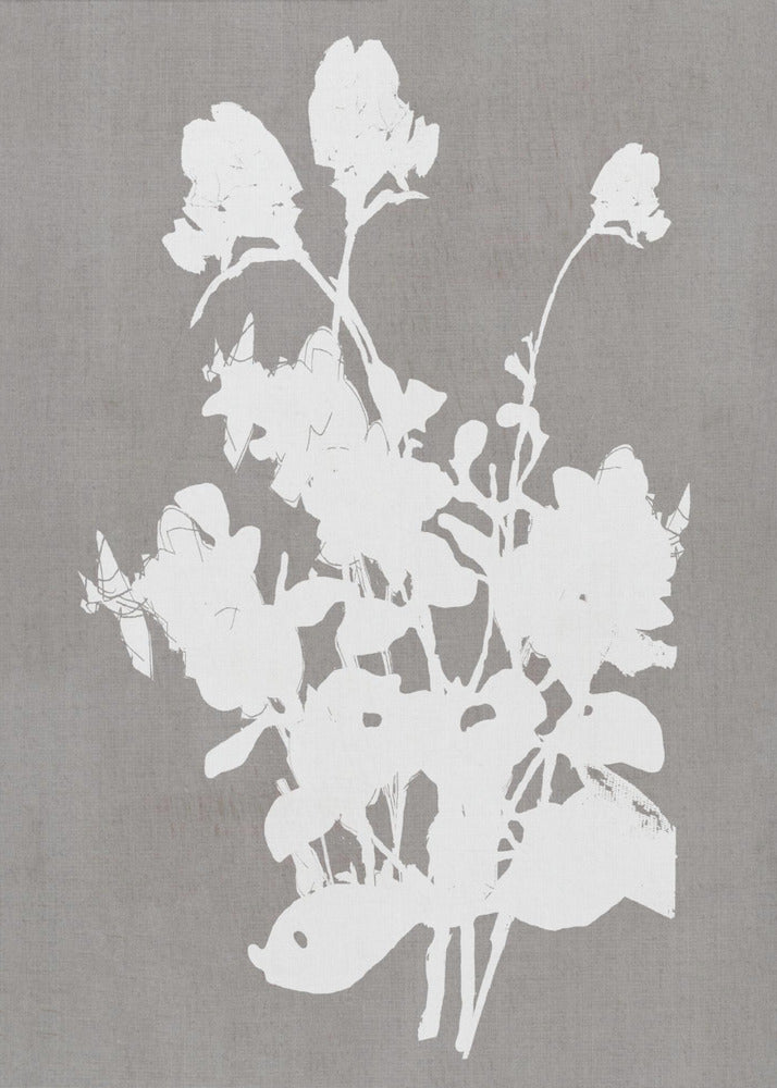 Botanische Illustration 3 | Poster