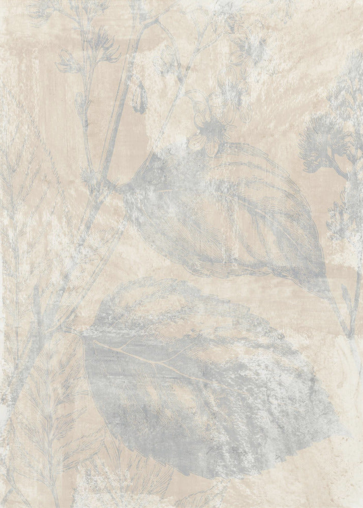 Woodsia 1 | Poster