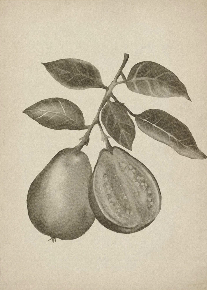 Vintage-Obst | Leinwand