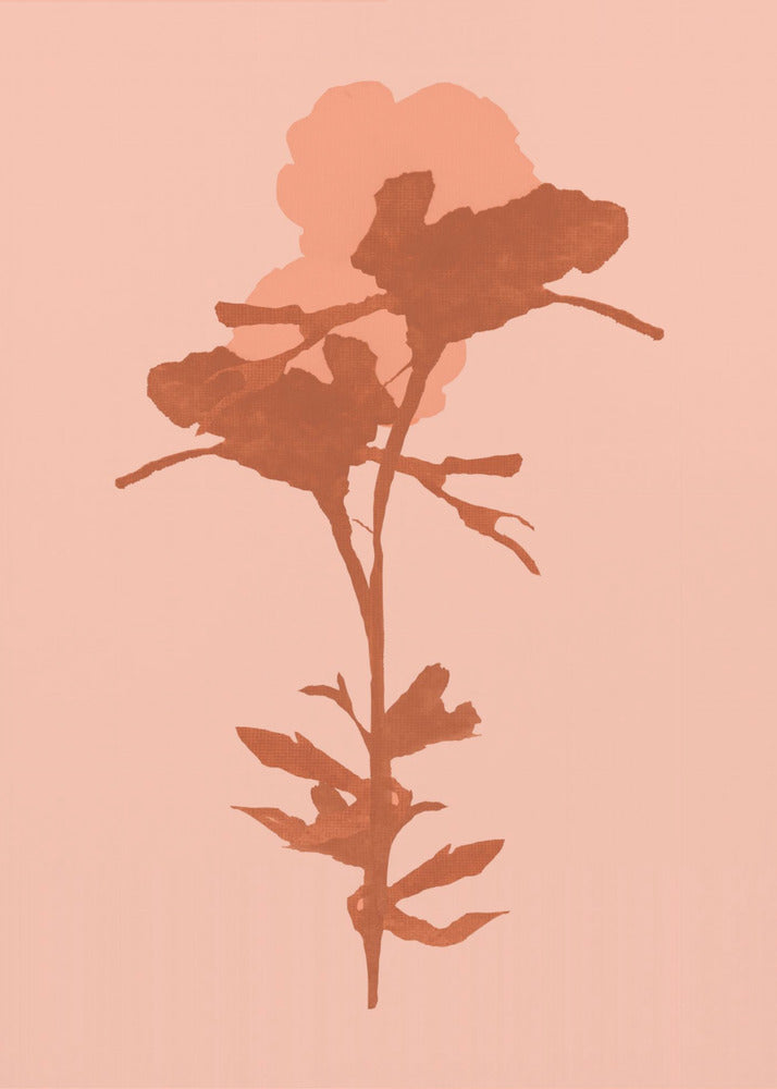 Floral Silhouette 7 | Canvas