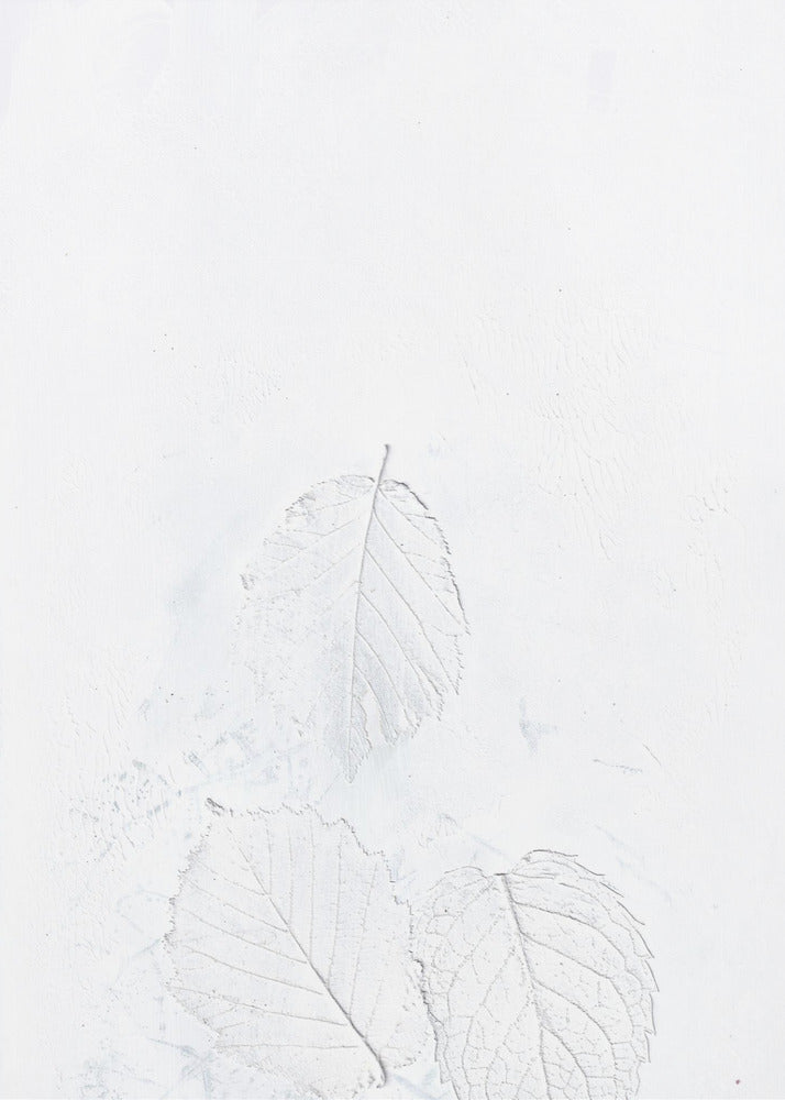 Minimal leaves | Poster