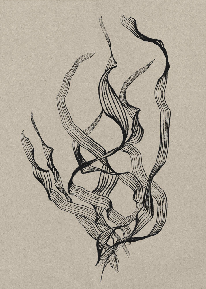 Zart | Poster