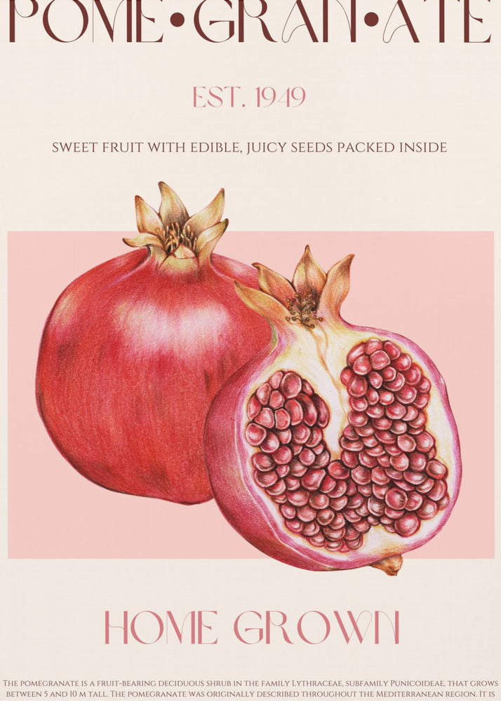 Saftiger Granatapfel | Poster