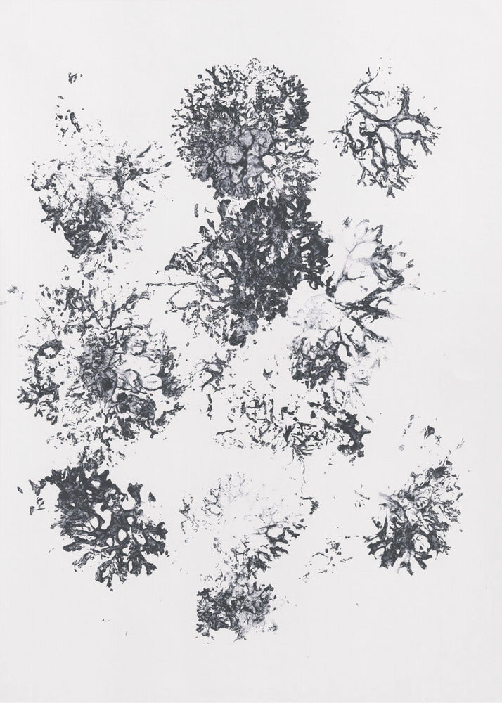 Plants II | Poster