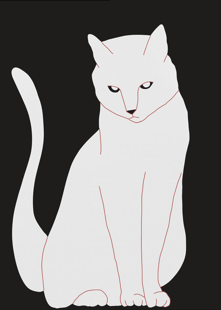 Weiße und schwarze Katze | Poster