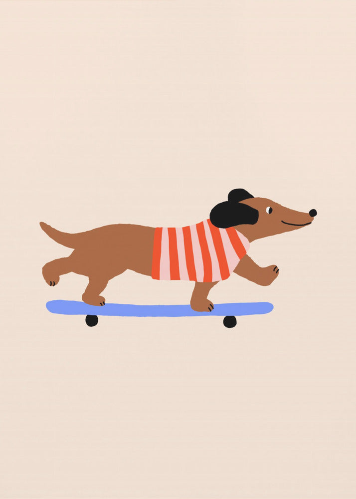 Dackel auf Skateboard | Leinwand