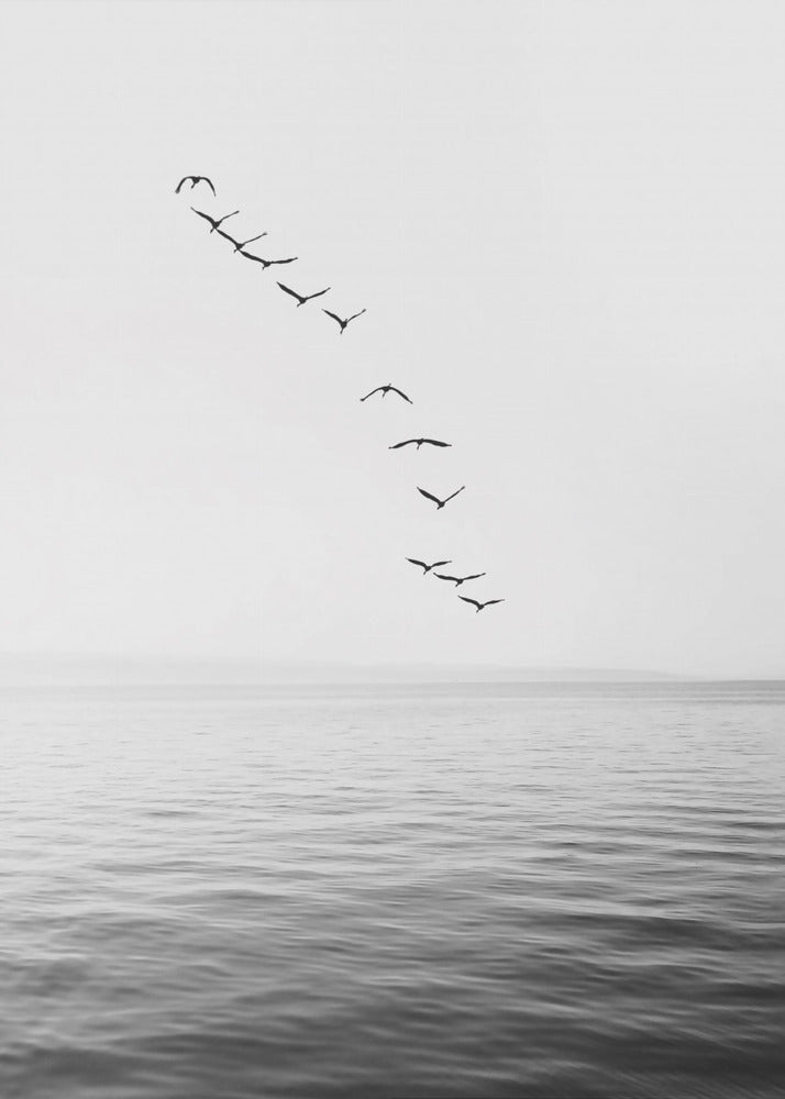 Fliegende Vögel | Leinwand