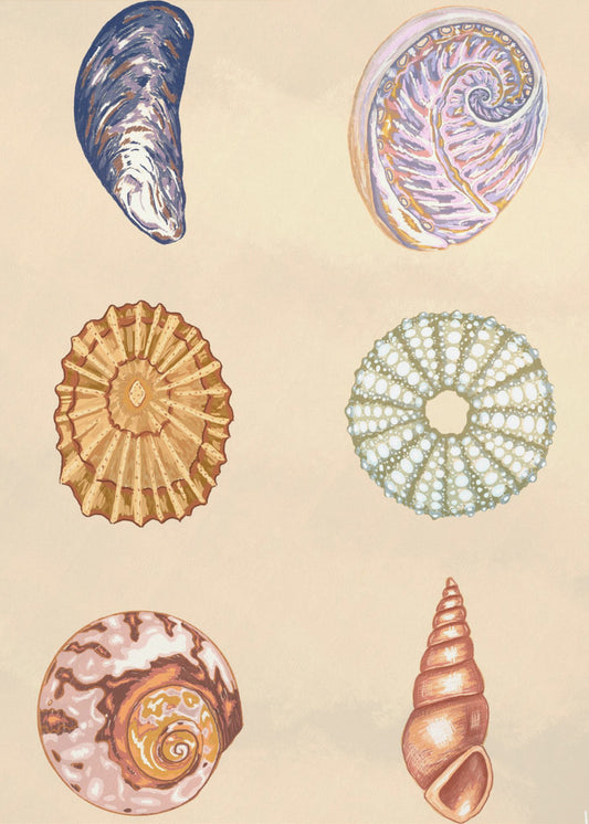 Treasures of the Tide | Poster