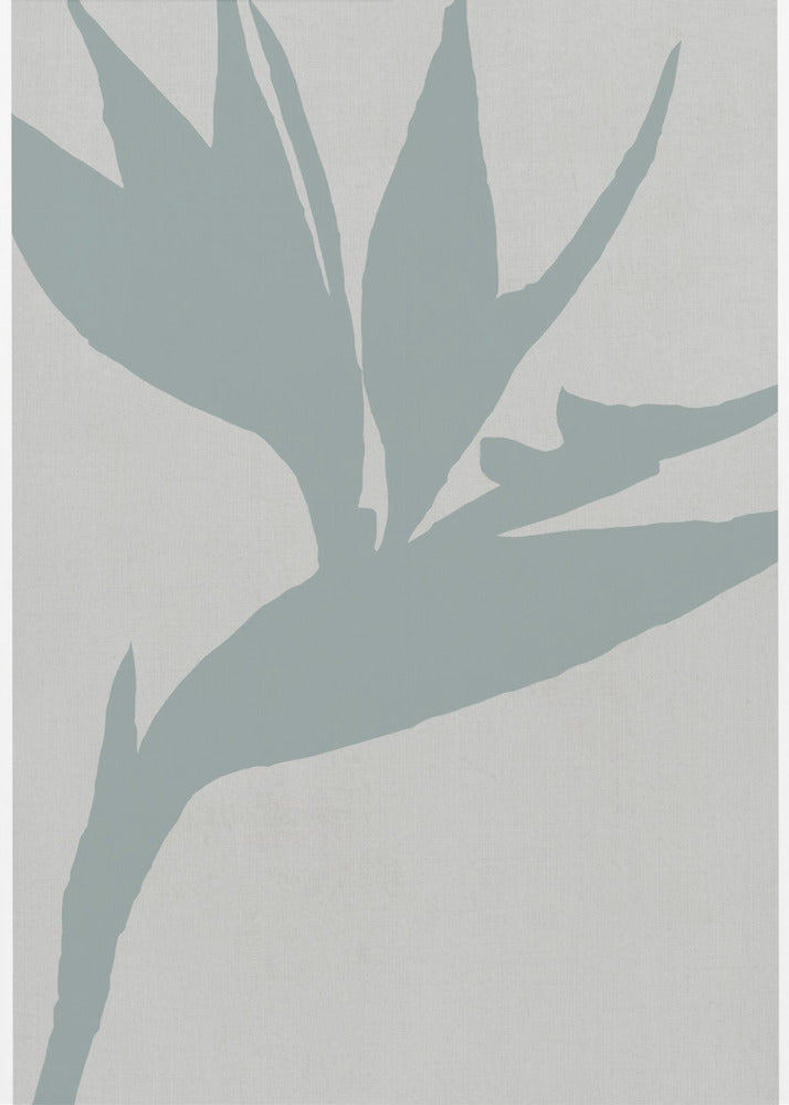 Paradiesvogel | Poster