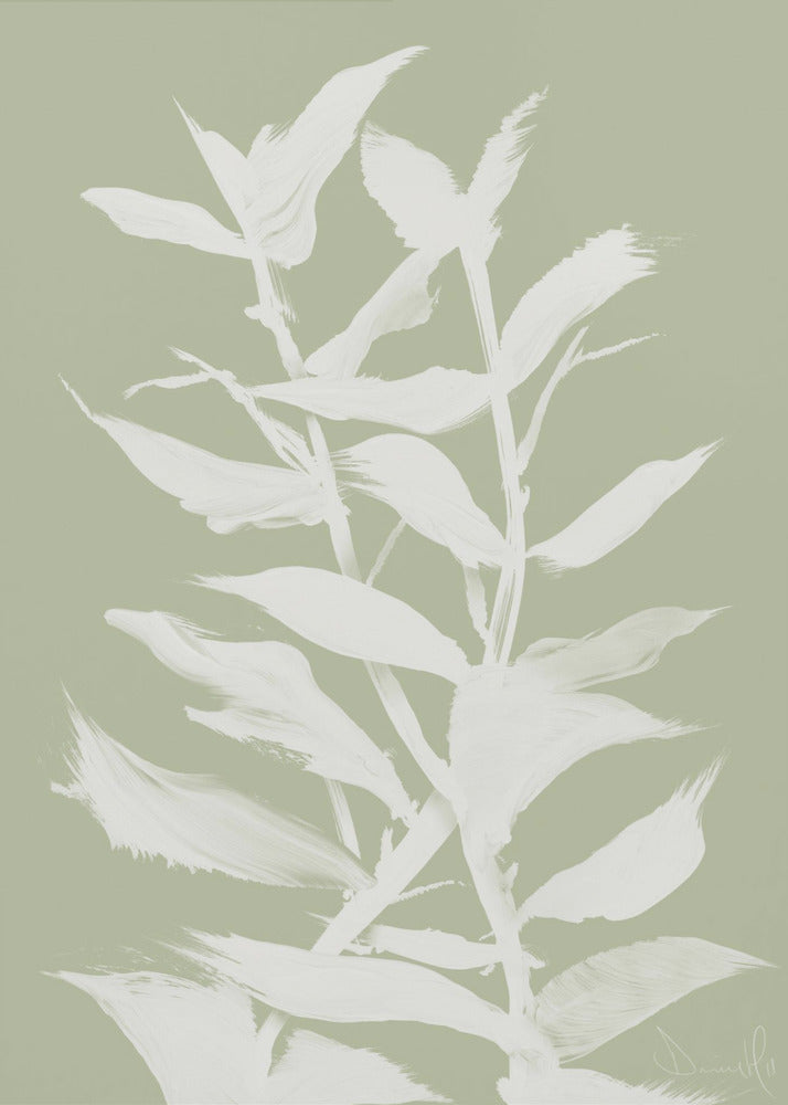 Botan | Leinwand