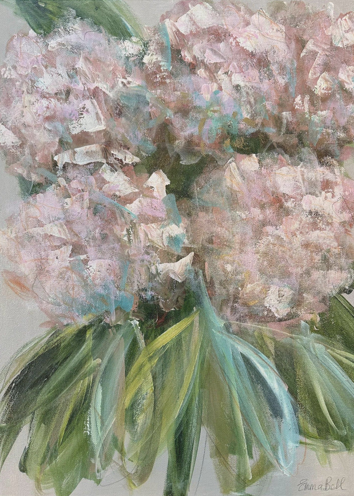 Rosa Hortensien mit grünen Blättern | Poster