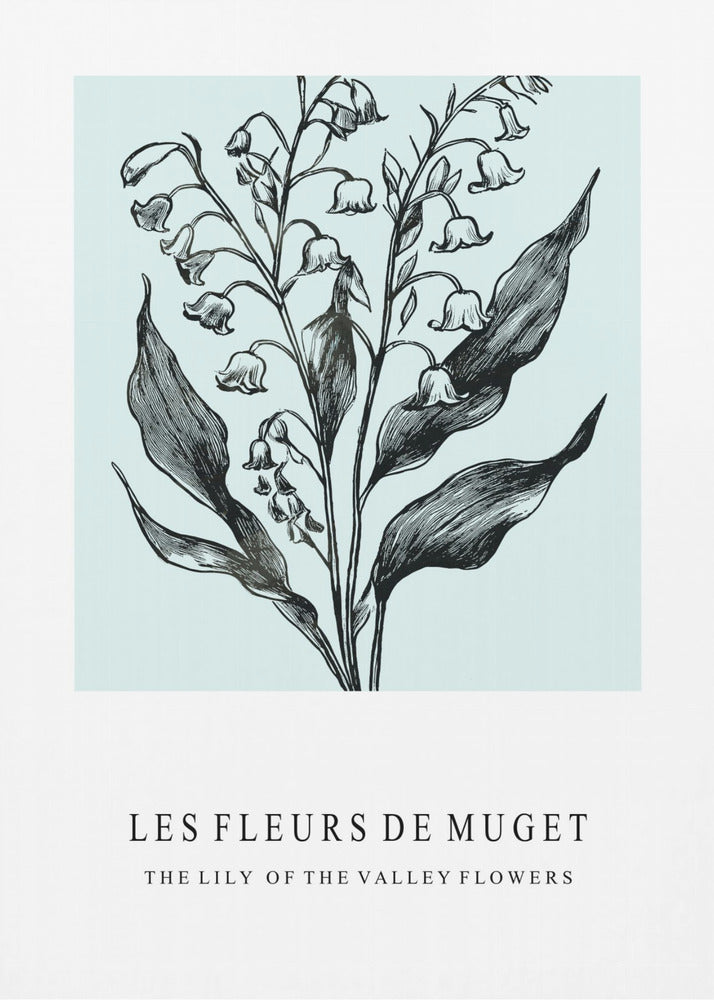 Maiglöckchenblüten in einer monochromen Illustration | Leinwand