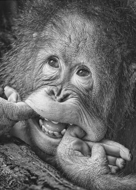 Big Smile.....please | Poster