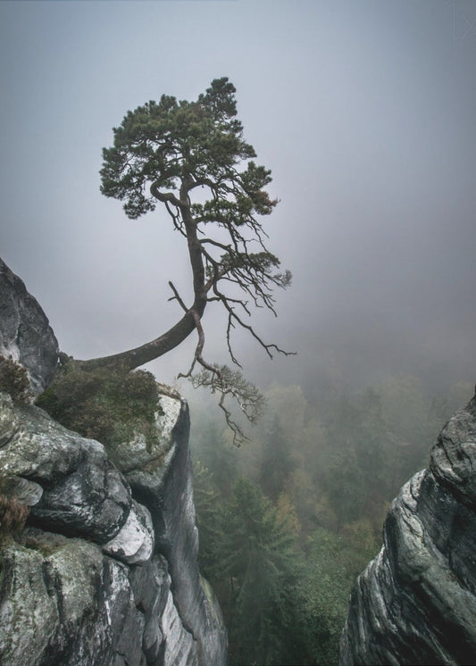 Gegen alle Widrigkeiten | Leinwand