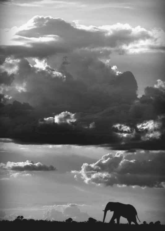 Er geht unter einem afrikanischen Himmel | Leinwand