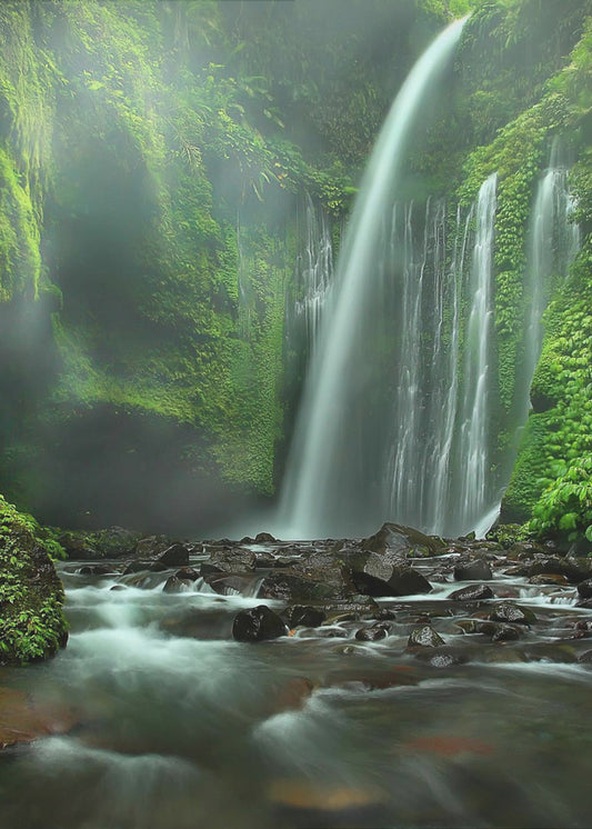 Tiu Kelep | Leinwand