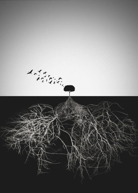 Urteile nicht nach dem Äußeren | Leinwand