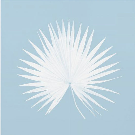 Tropisches Blau 1 | Poster